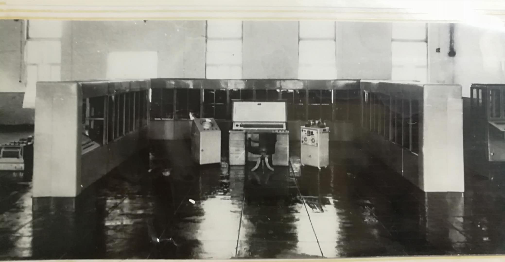 19591